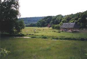 paysage